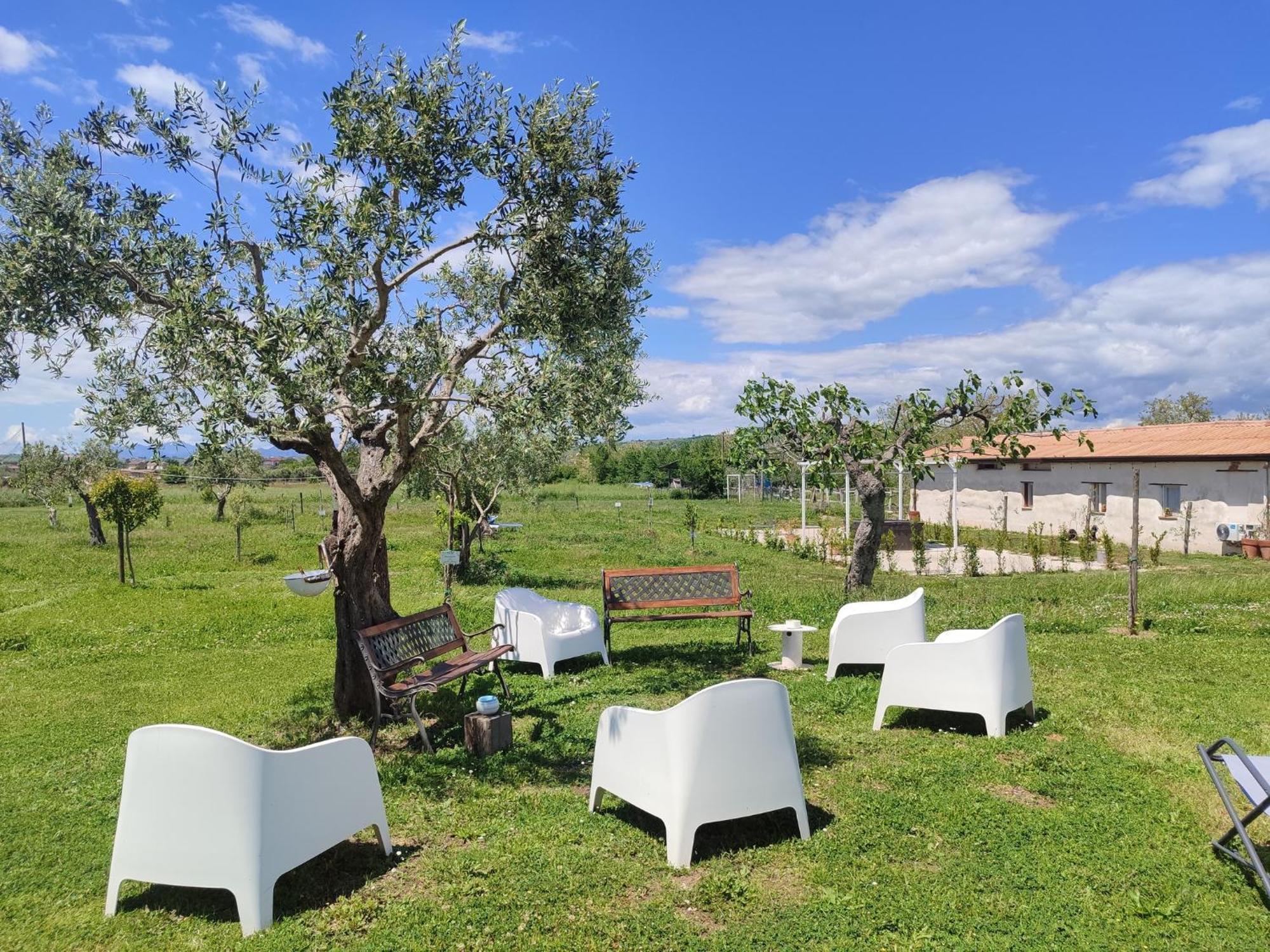 פייטרלצ'ינה Masseria Fontana Dei Fieri מראה חיצוני תמונה