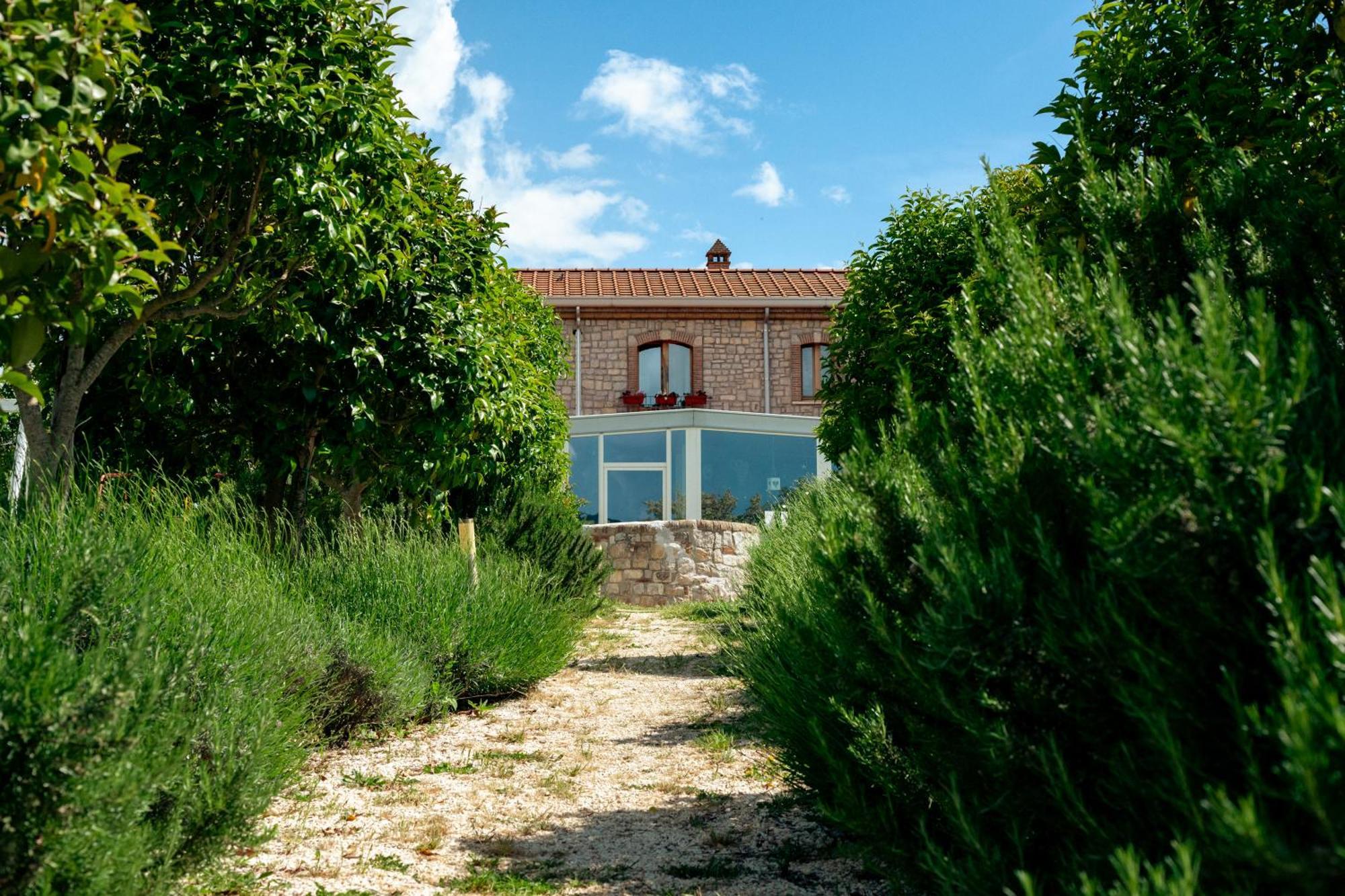 פייטרלצ'ינה Masseria Fontana Dei Fieri מראה חיצוני תמונה